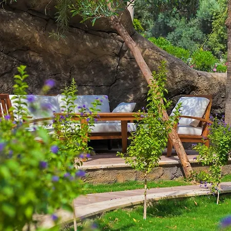 AMOSSİA Elite Boutique Hotel 2* Turunç